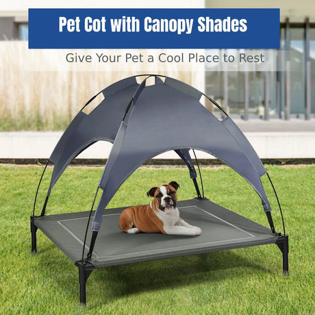 Elevated Pet Cot with Detachable Canopy Shade & Sturdy Steel Frame-L