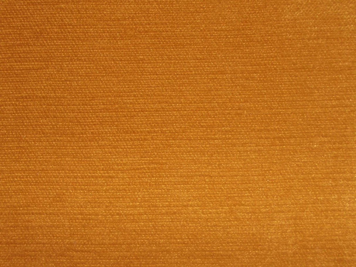 Pimlico Crush Corn / SR16002