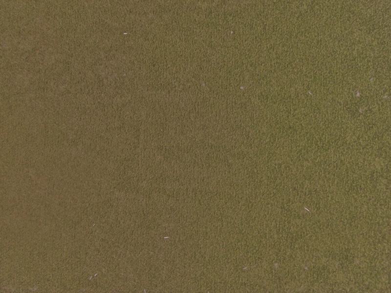 Dunbar Green / SR19067 (Per Metre)