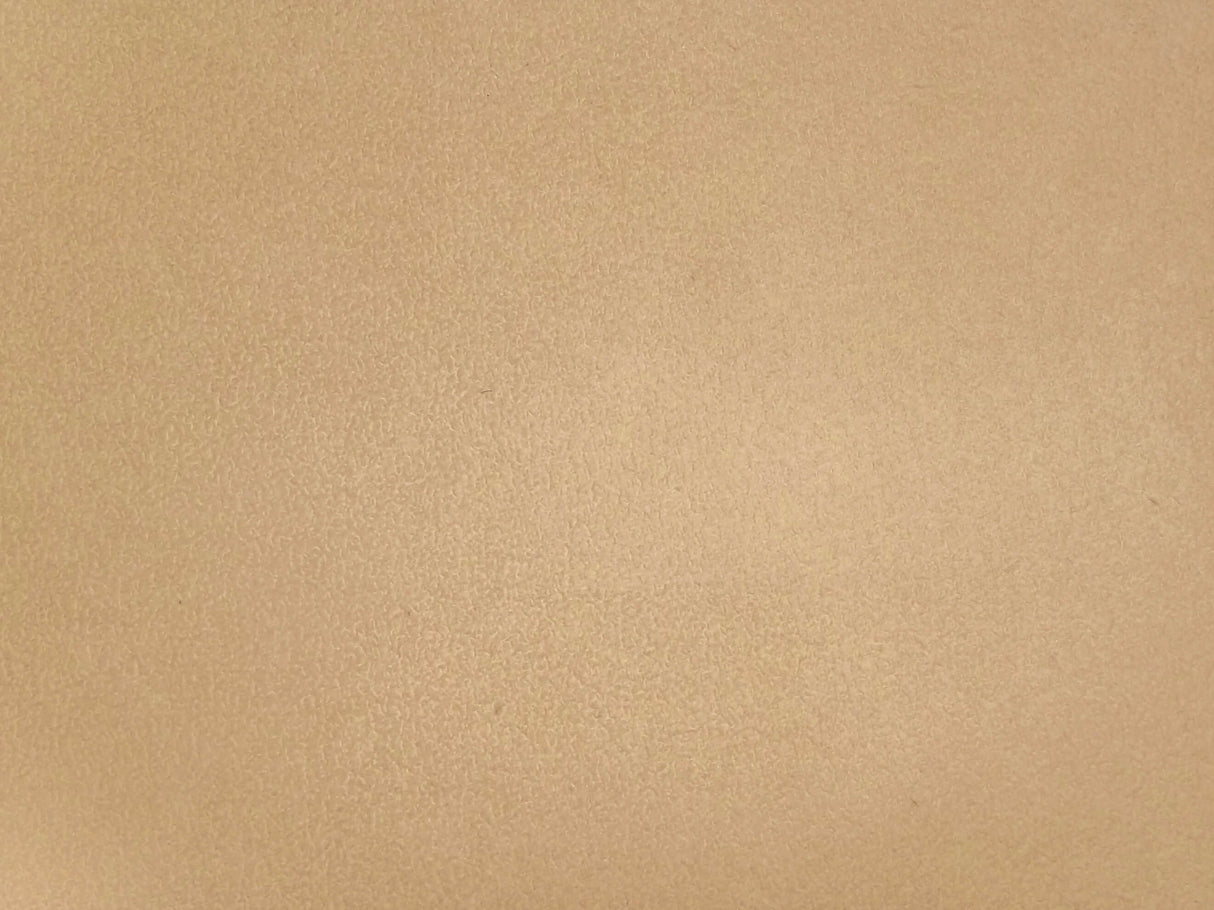 Dunbar Oyster / SR19070