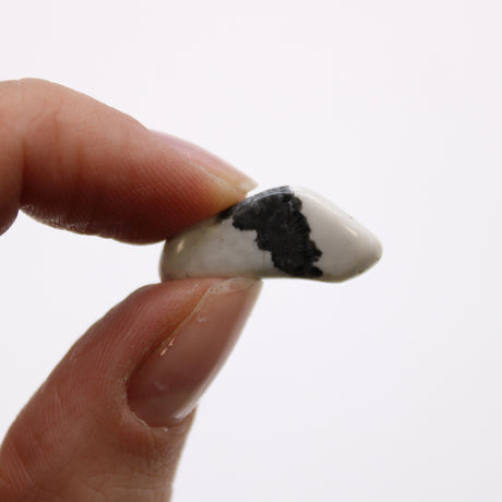 Small African Tumble Stones - White Howlite - Magnesite