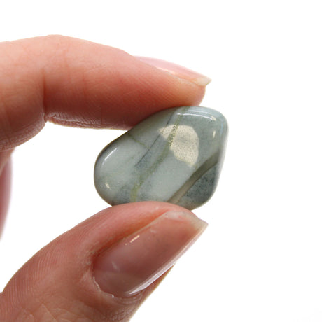 Small African Tumble Stones - Bloodstone - Sephtonite