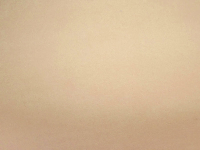 Notting Hill Crush Ecru / SR16202 (Per Metre)