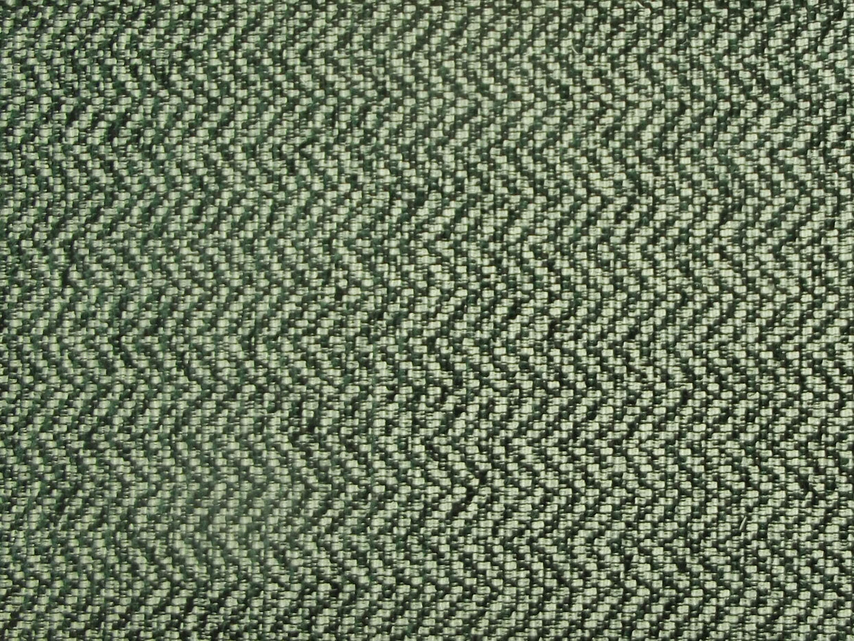 Perth Herringbone Fern / SR13680