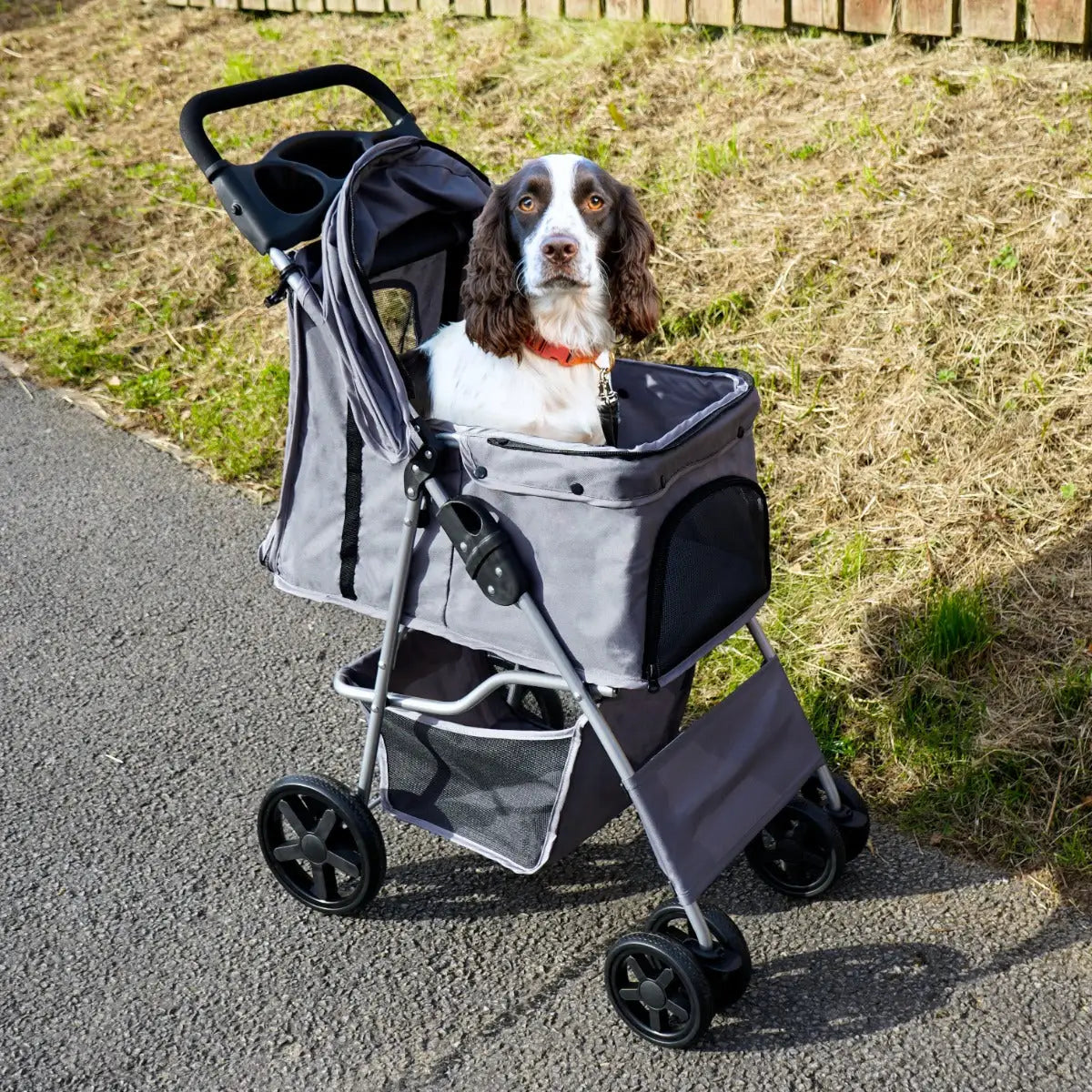 Pet Stroller with Rain Cover Grey