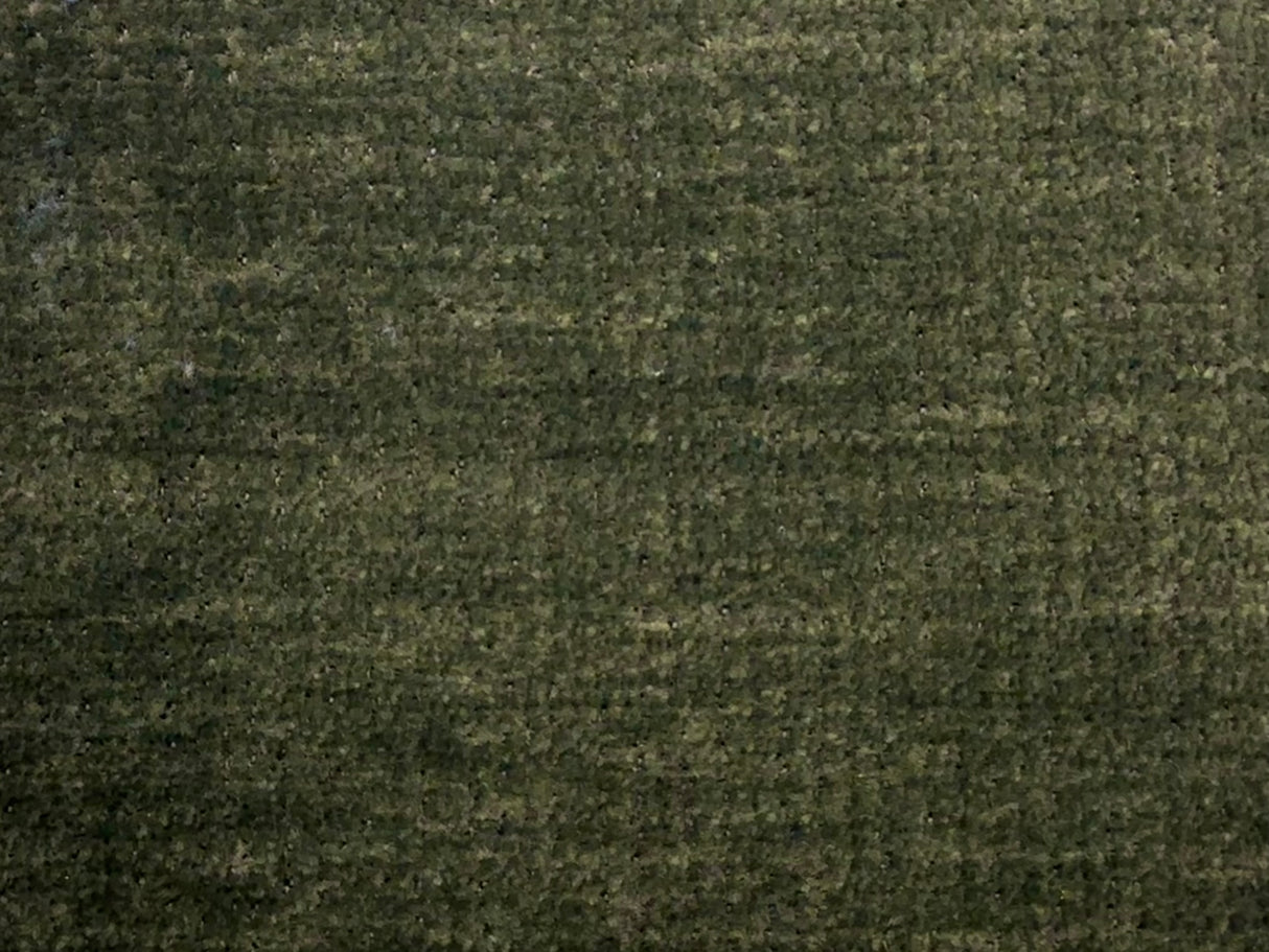 Capri Fern / SR19351