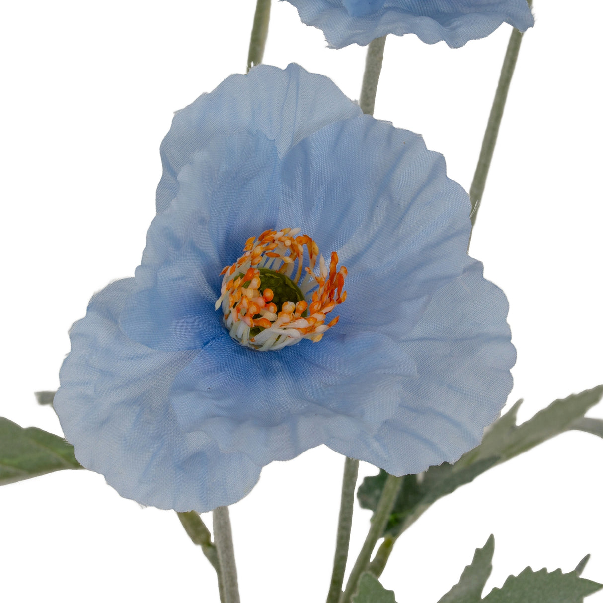 Blue Papaver Oppy Spray