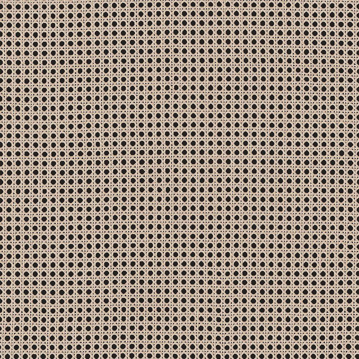 Cestino 2 Door 1 Drawer TV Unit in Jackson Hickory Oak and Rattan Effect