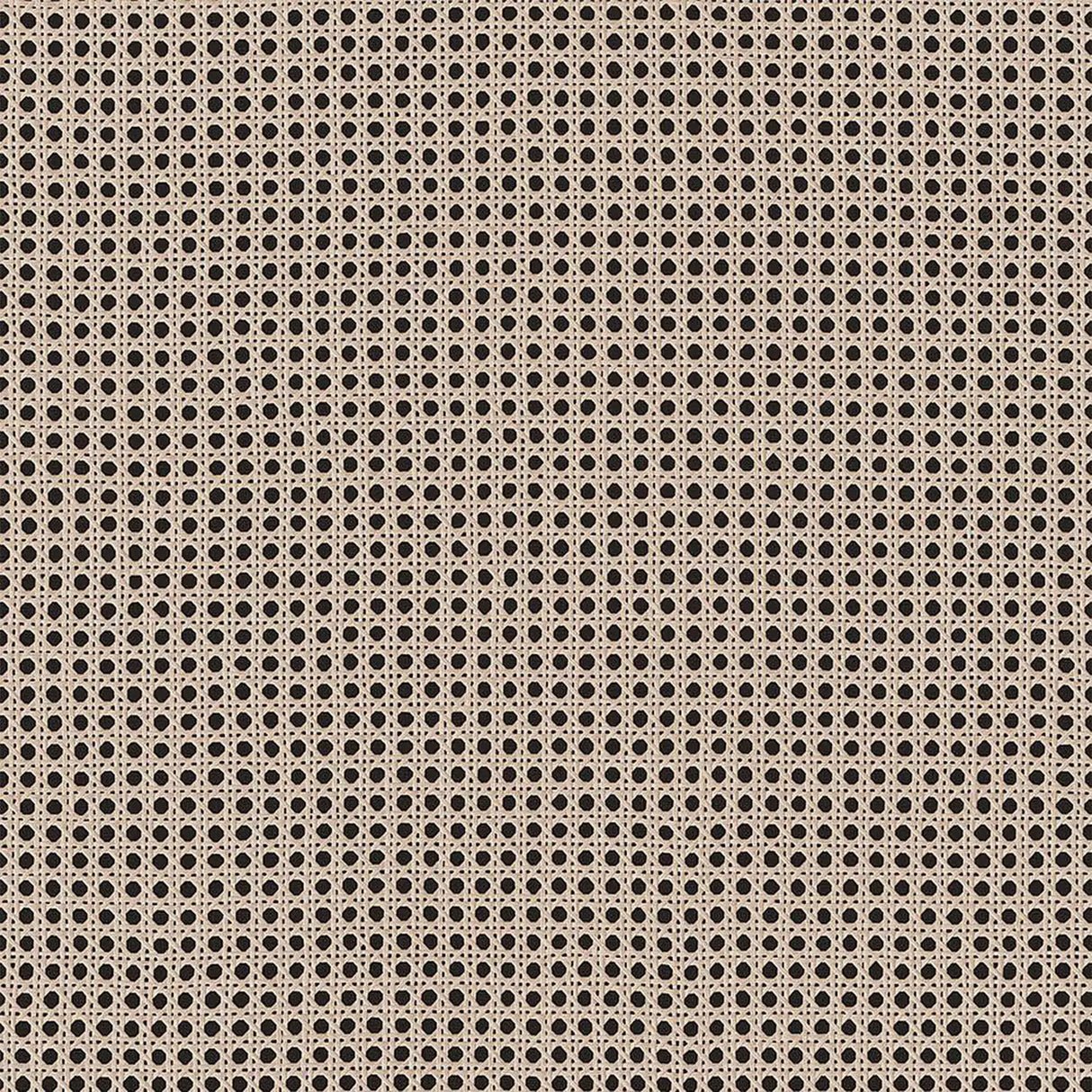 Cestino 2 Door Display Cabinet in Jackson Hickory Oak and Rattan Effect