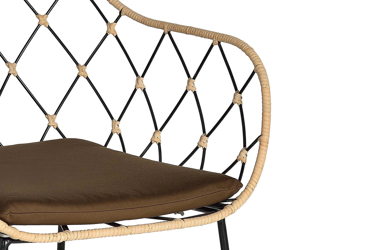 Giner and Colomer Set Of 2 Rattan And Metal Chairs With Cushions