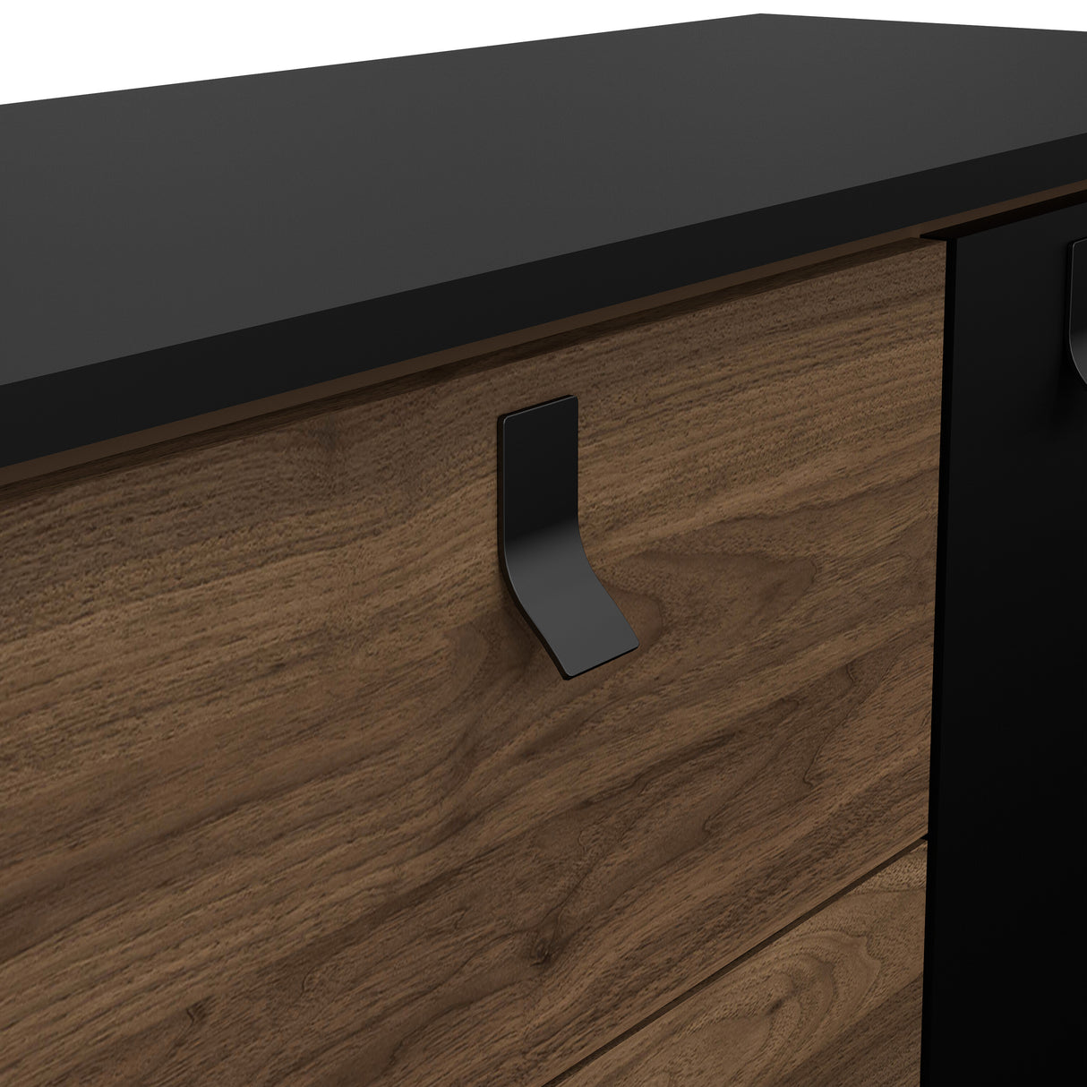 Ry Sideboard 2 doors + 2 drawers in Matt Black Walnut
