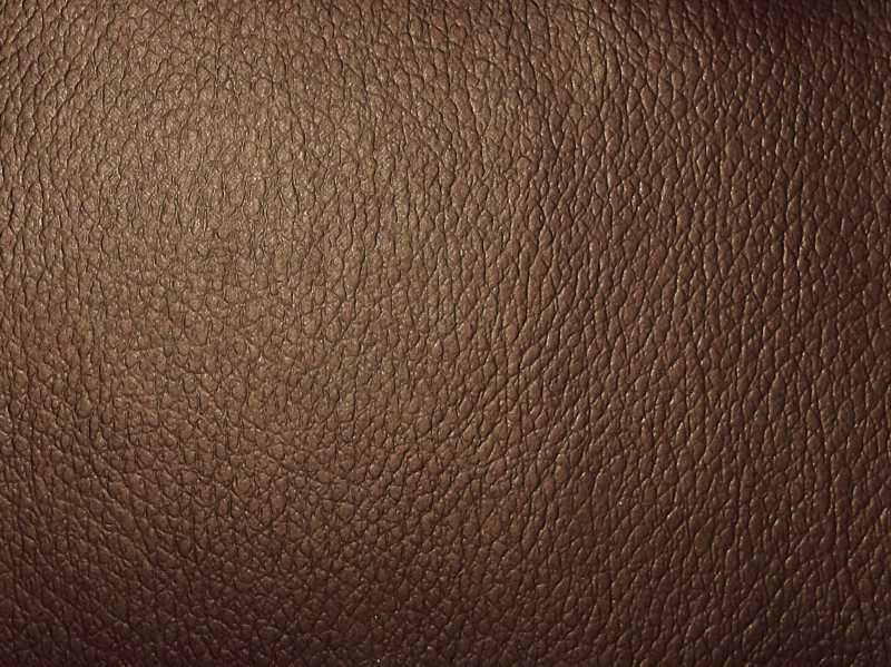 Lisbon Mocha / SR14354 (Per Metre)