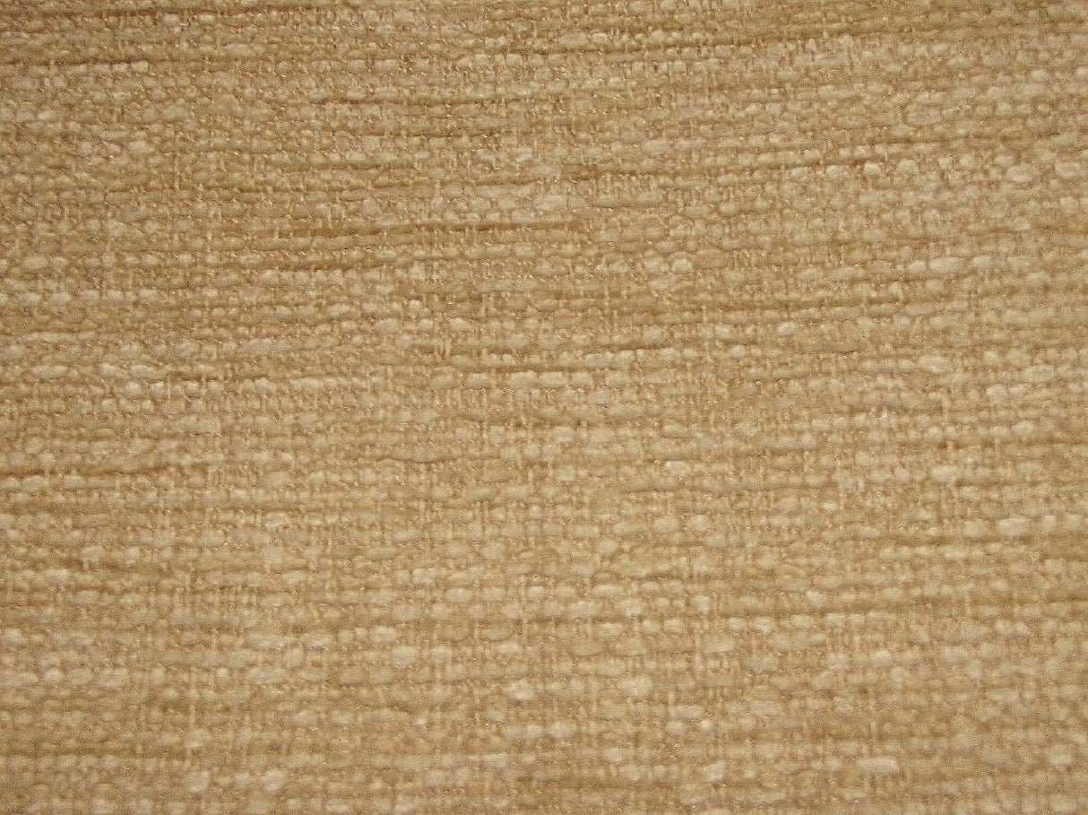 Caledonian Plain Oyster / SR15202