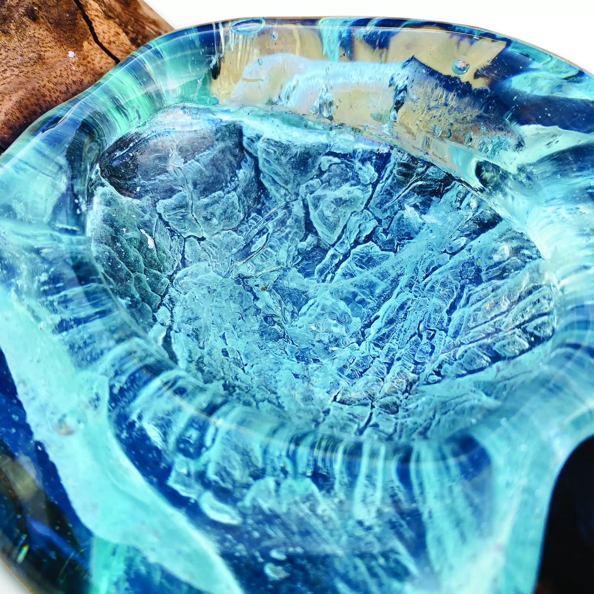 Root With Glass Soap Dish Oval