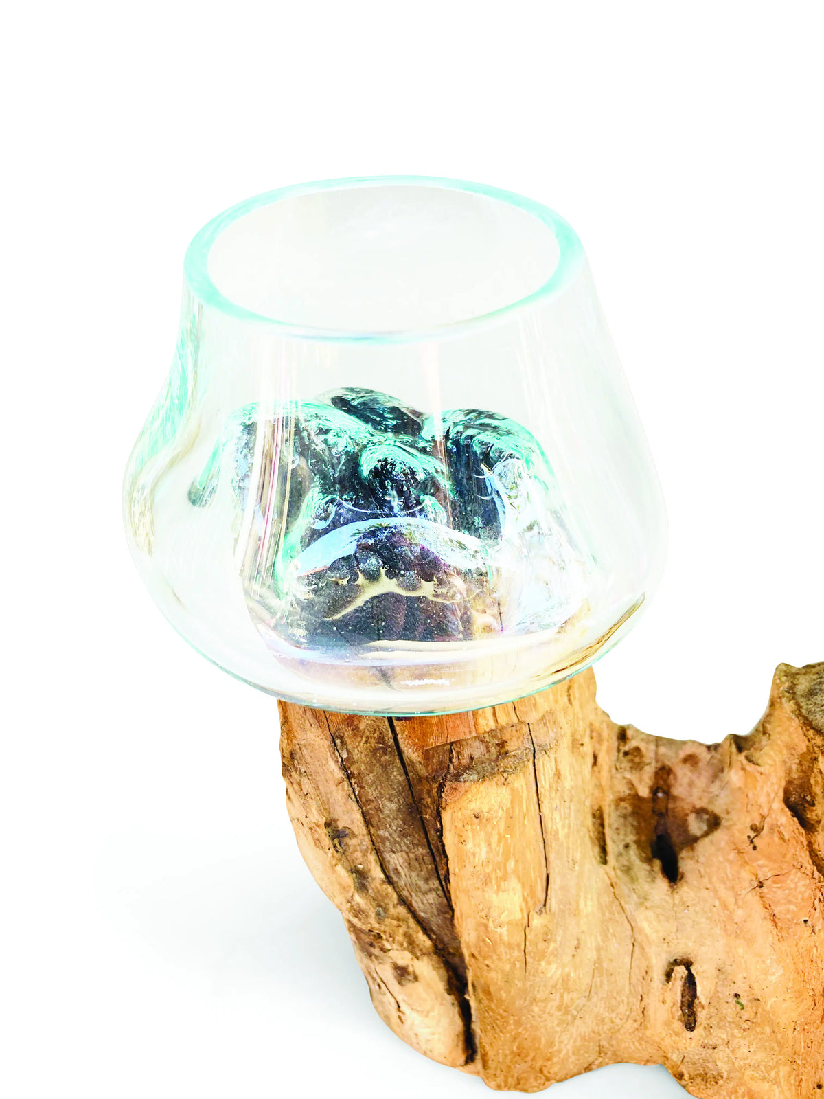 Root With Double Glass Bowl Mini (Tall & Low)