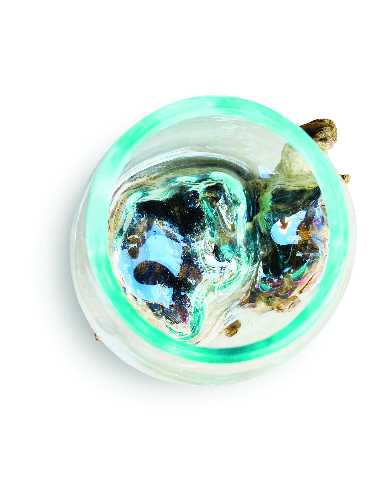 Root With Glass Bowl Tiny