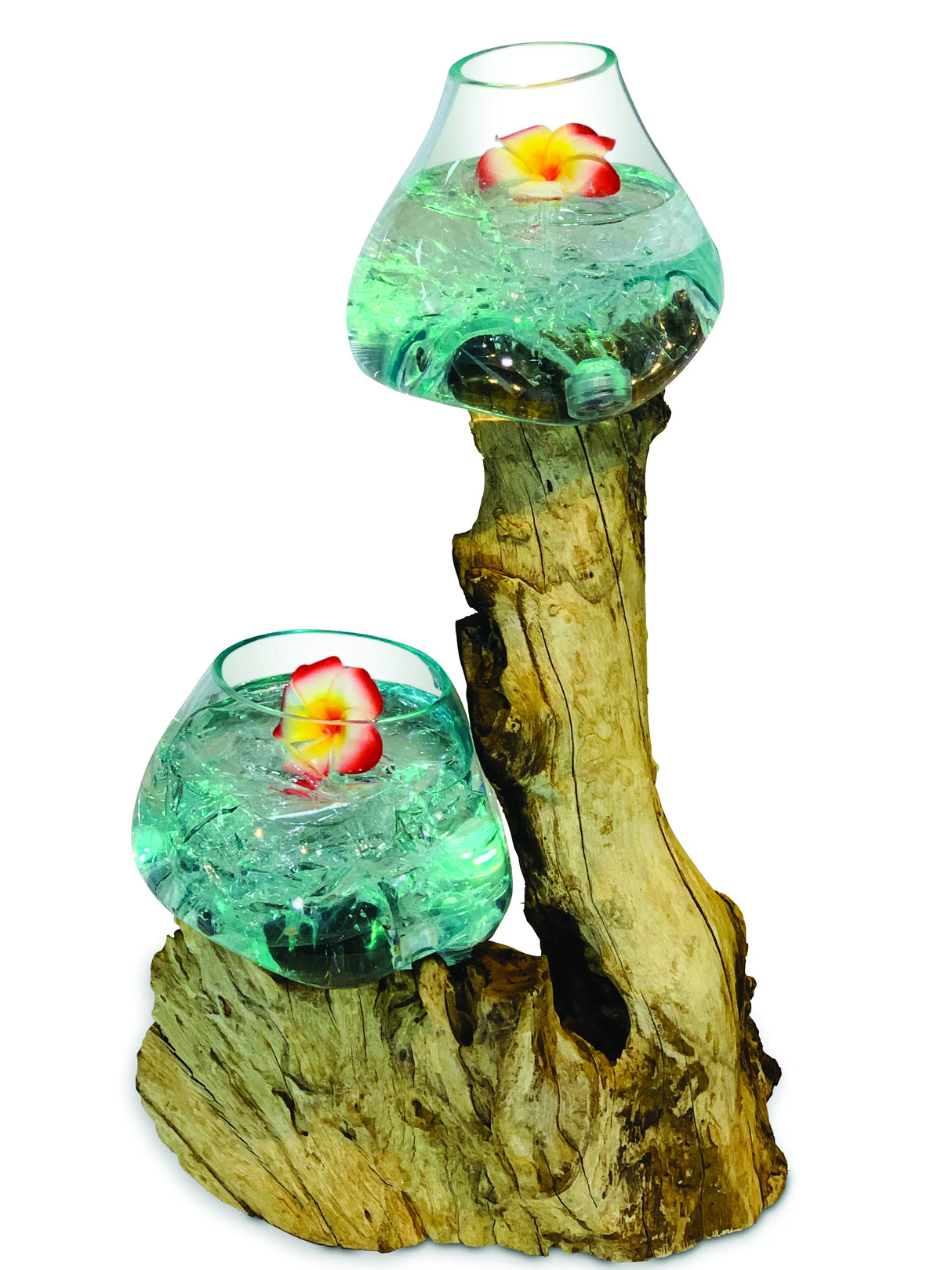 Root With Double Glass Bowl Large