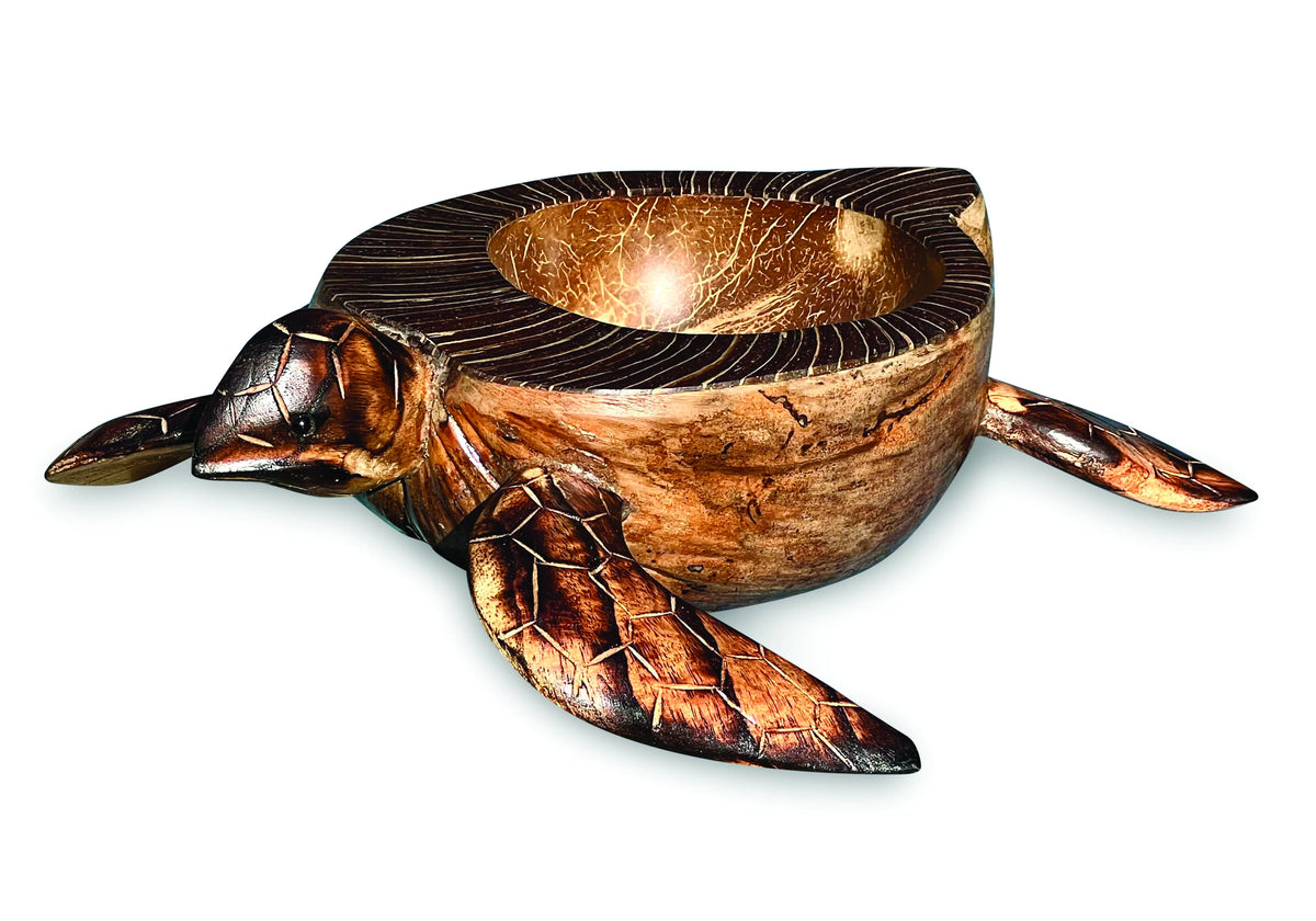 Natural Coconut Shell Turtle Bowl