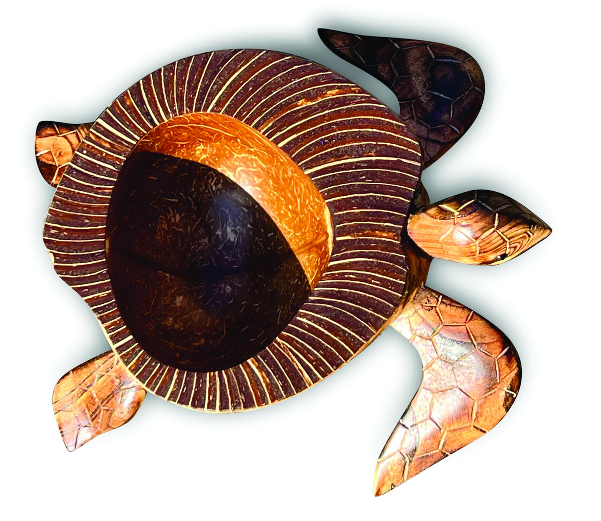 Natural Coconut Shell Turtle Bowl