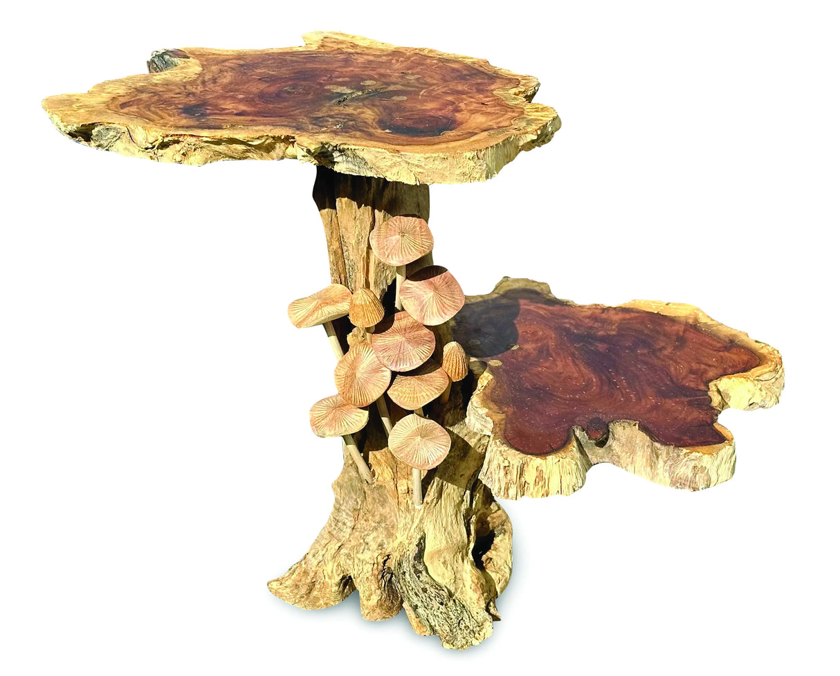 DRIFTWOOD MUSHROOM COLONY LAMP TABLE, WITH 9 MUSHROOMS, 30CM.