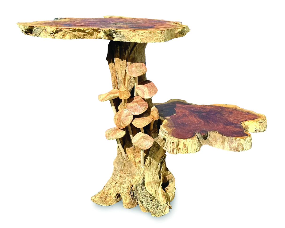 DRIFTWOOD MUSHROOM COLONY LAMP TABLE, WITH 9 MUSHROOMS, 30CM.