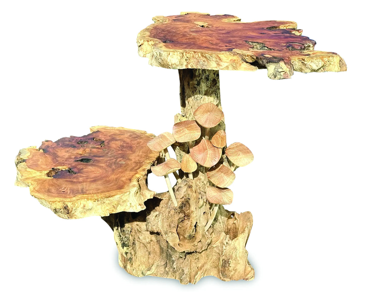 DRIFTWOOD MUSHROOM COLONY LAMP TABLE, WITH 9 MUSHROOMS, 30CM.