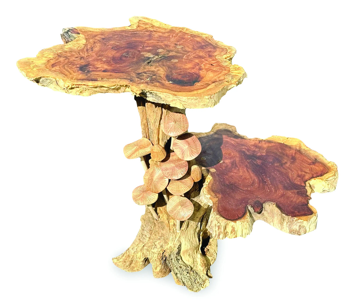 DRIFTWOOD MUSHROOM COLONY LAMP TABLE, WITH 9 MUSHROOMS, 30CM.
