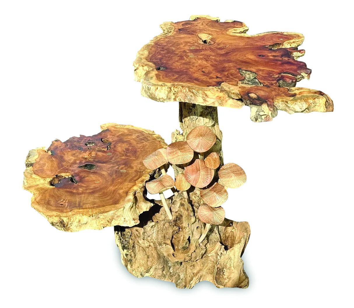 DRIFTWOOD MUSHROOM COLONY LAMP TABLE, WITH 9 MUSHROOMS, 30CM.