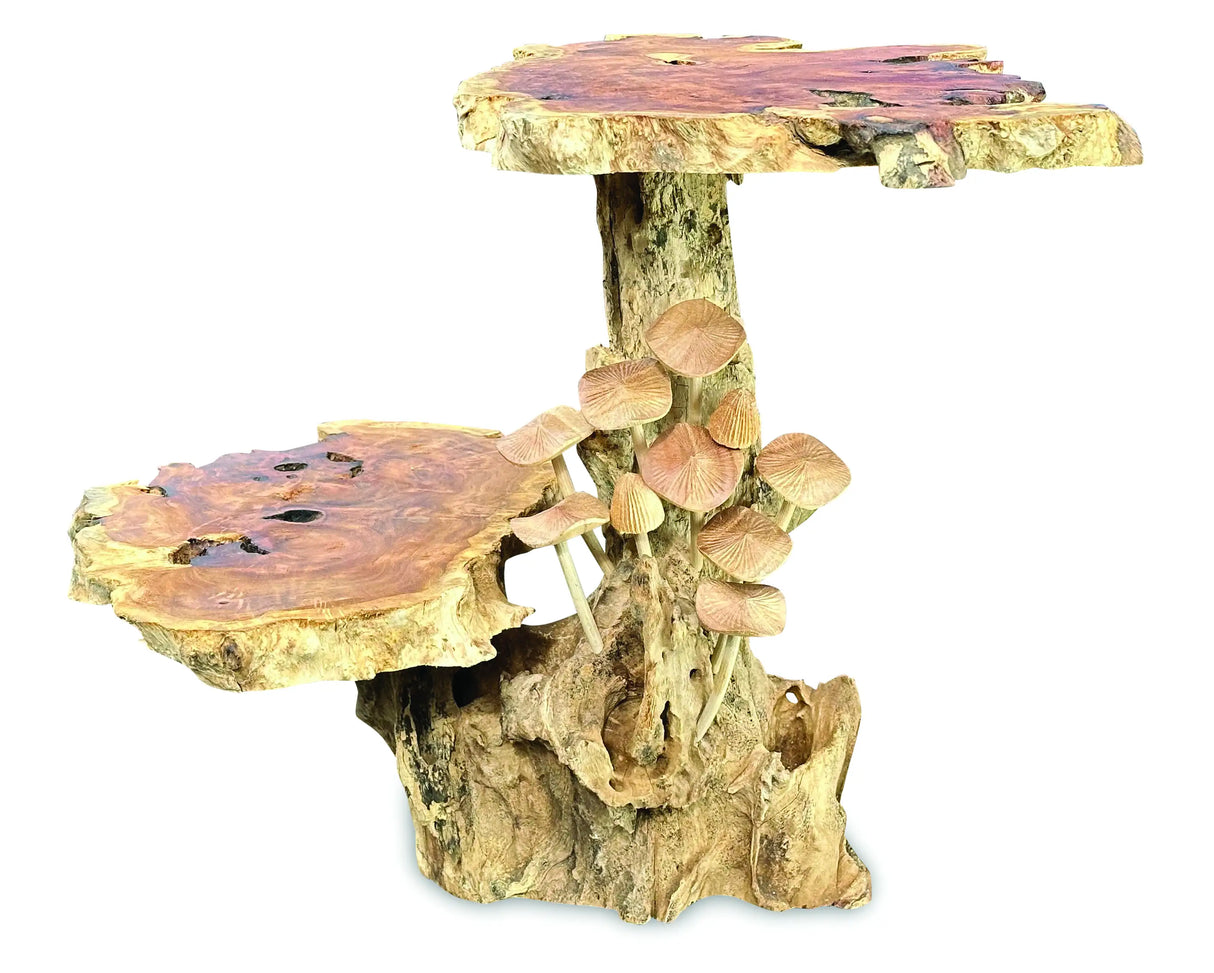 DRIFTWOOD MUSHROOM COLONY LAMP TABLE, WITH 9 MUSHROOMS, 30CM.