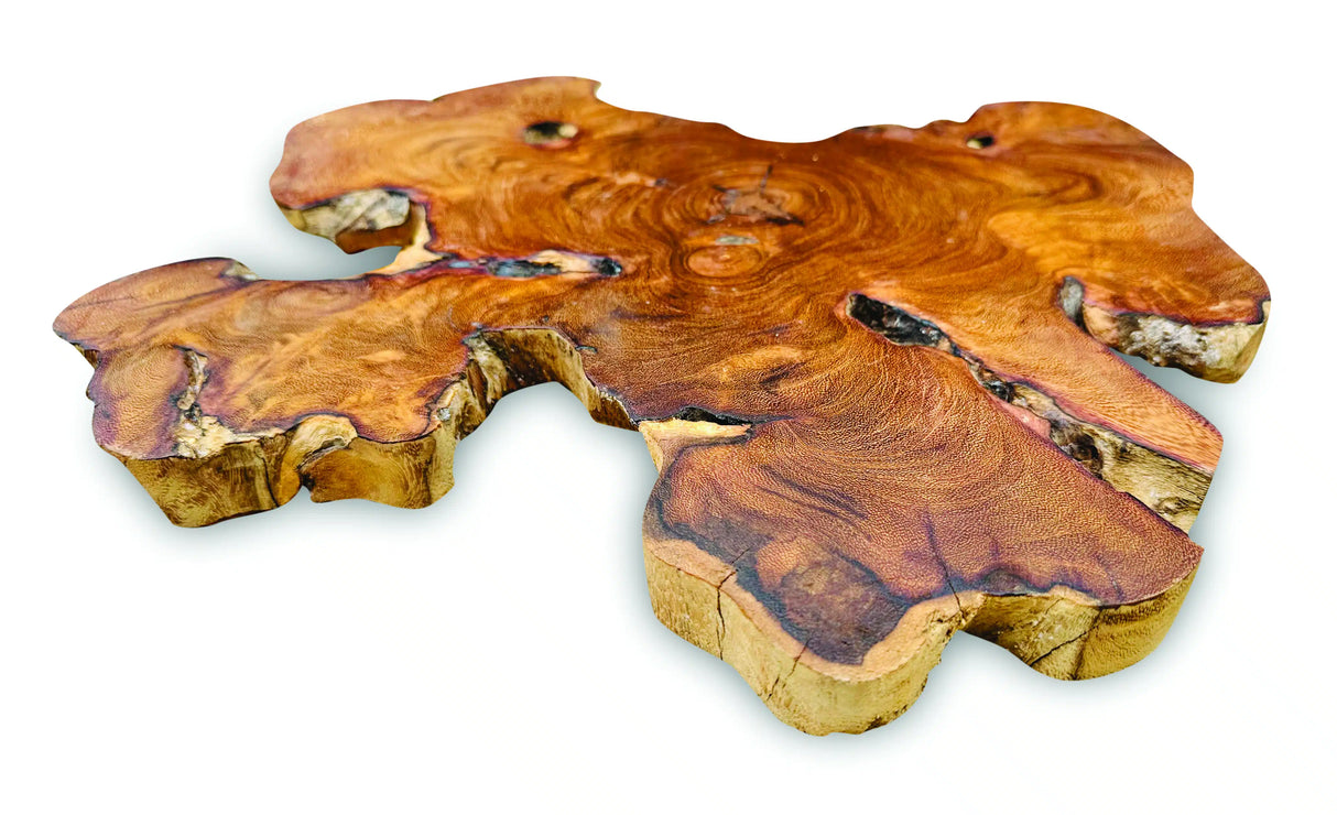 Tree Root Slice Placemats Large 30-35cm