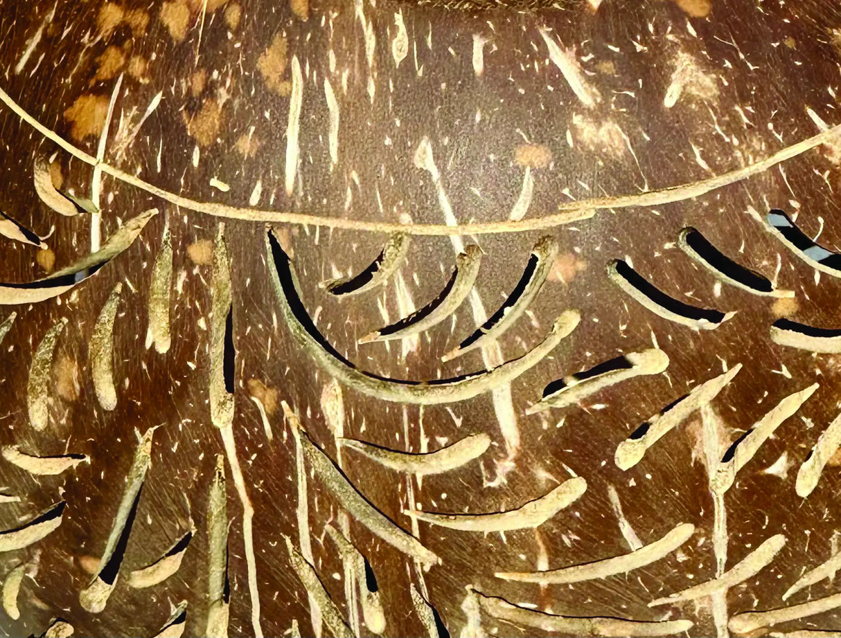 COCONUT SHELL SPHERE PHOENIX STYLE INTRICATE CARVING