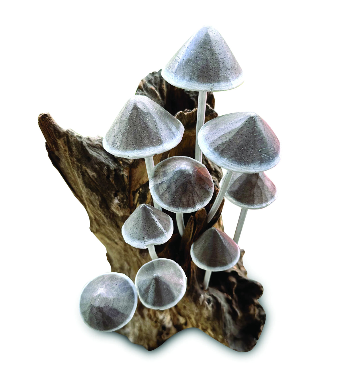 Ink Cap Mushroom Colony Driftwood Sculpture H30cm