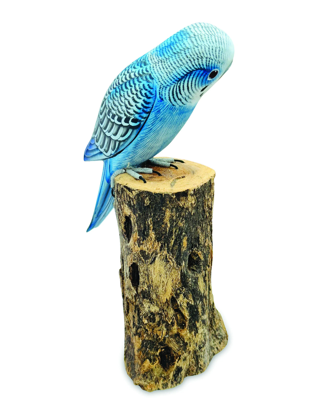 Blue Budgie 20cm (Please Order In Mutiples Of 2)