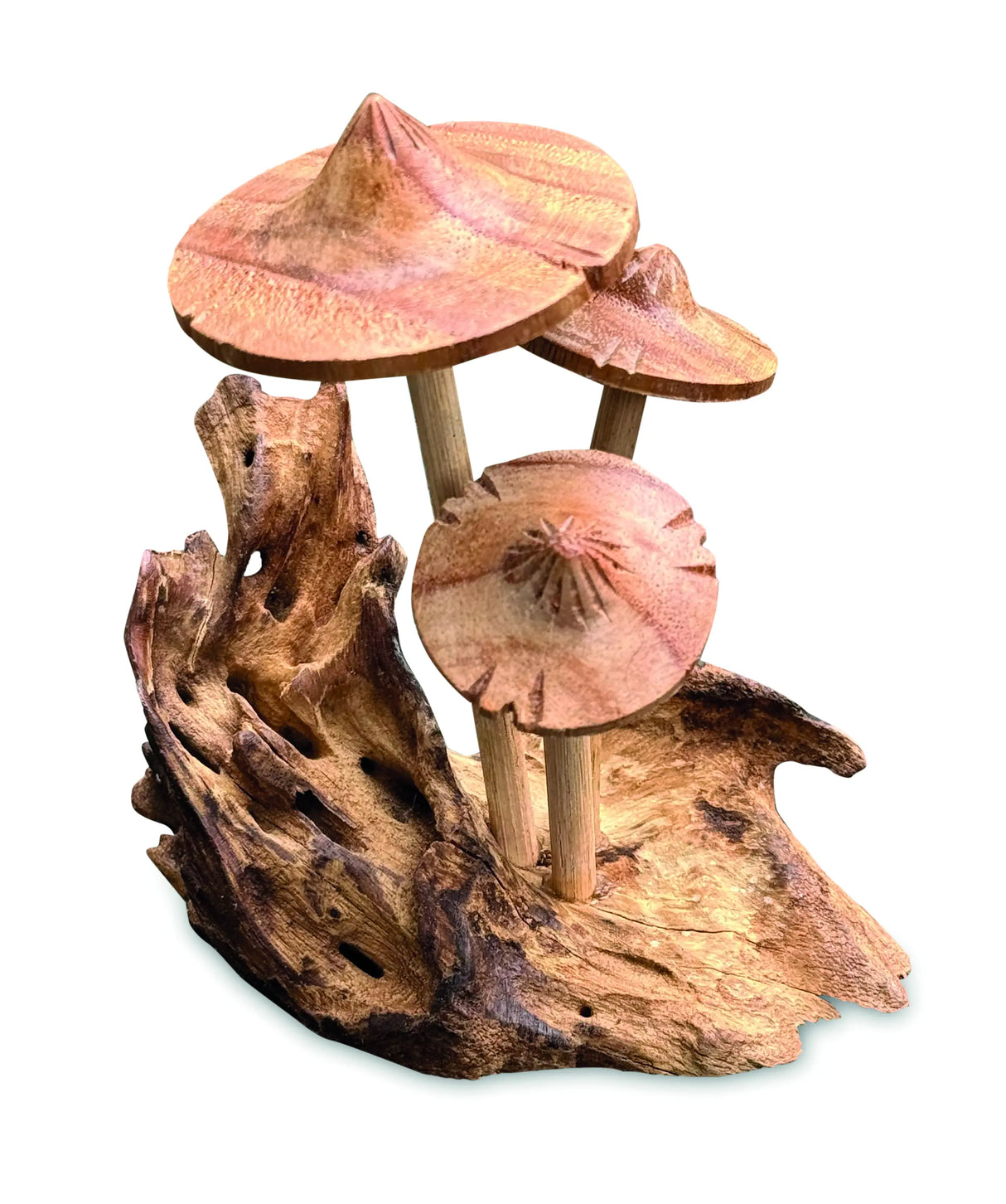 3 PARASOL MUSHROOMS ON DRIFTWOOD