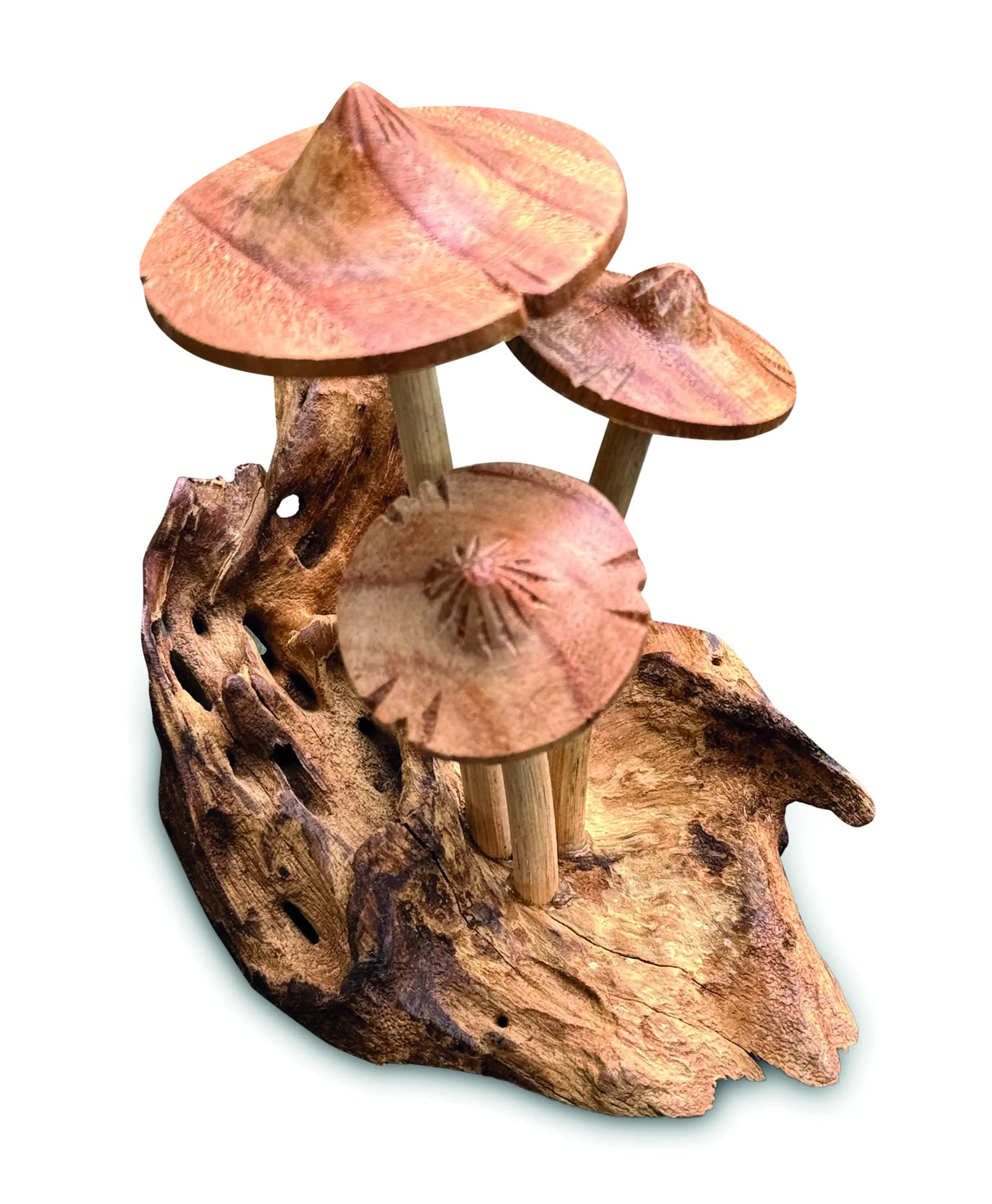 3 PARASOL MUSHROOMS ON DRIFTWOOD
