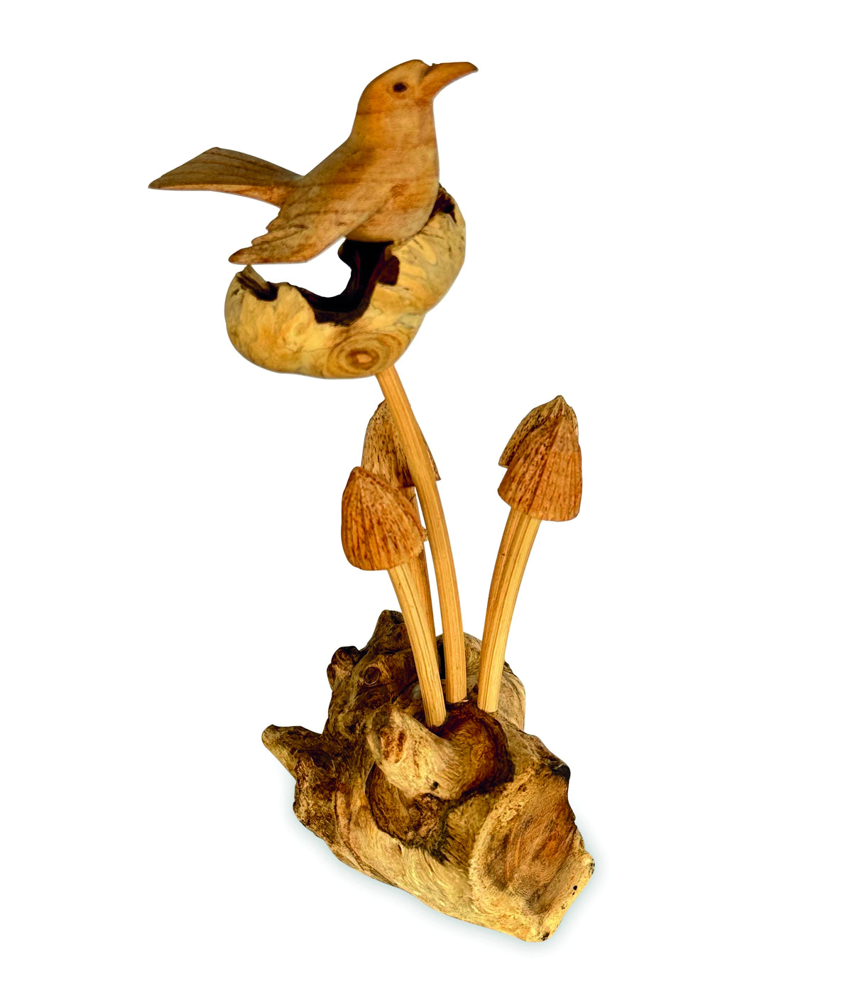 Wren On 5 Mushrooms