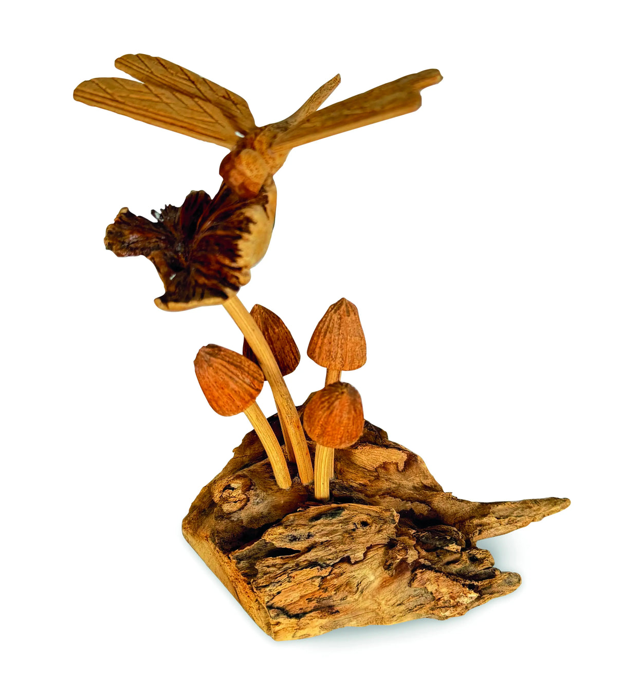 DRAGONFLY ON 5 MUSHROOMS