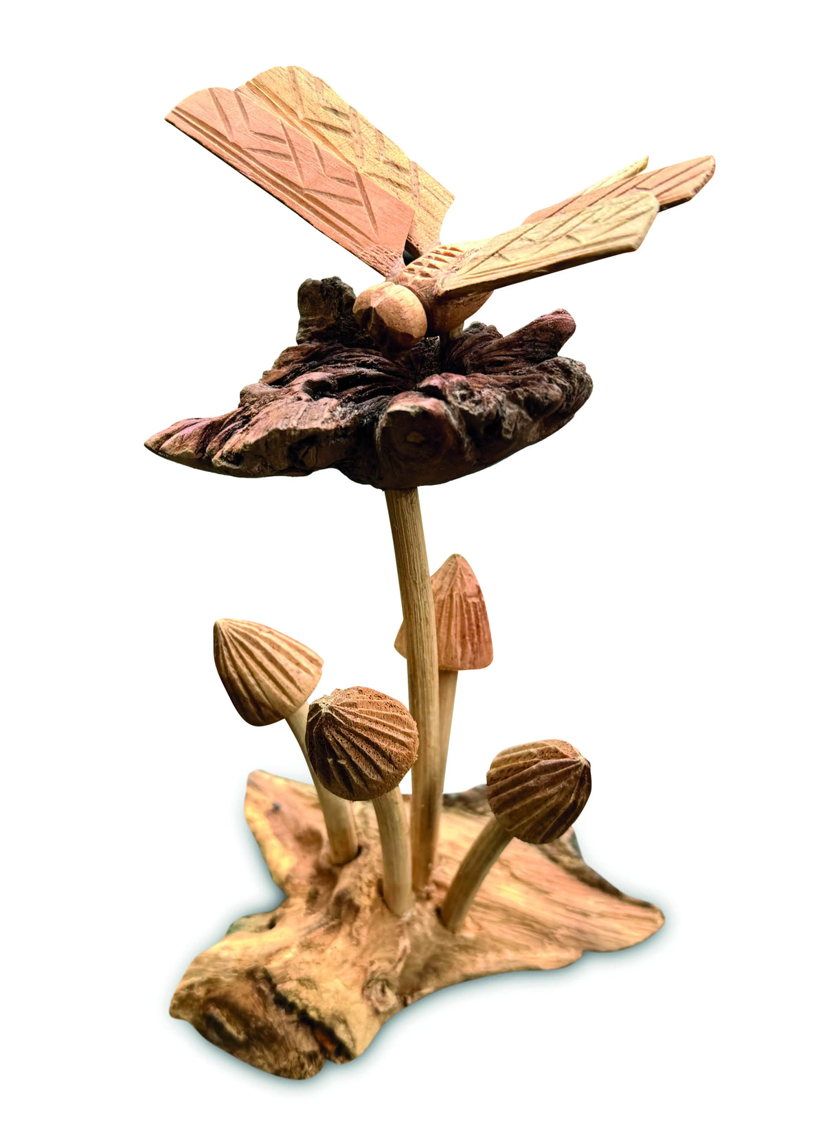 DRAGONFLY ON 5 MUSHROOMS