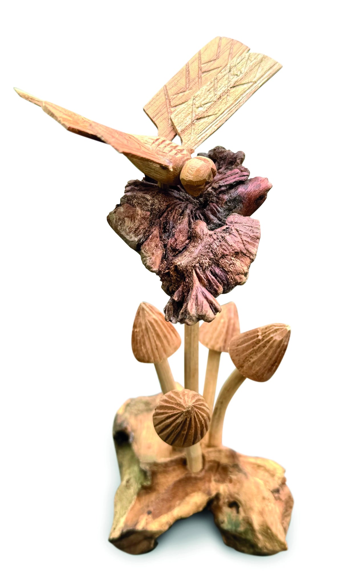 DRAGONFLY ON 5 MUSHROOMS