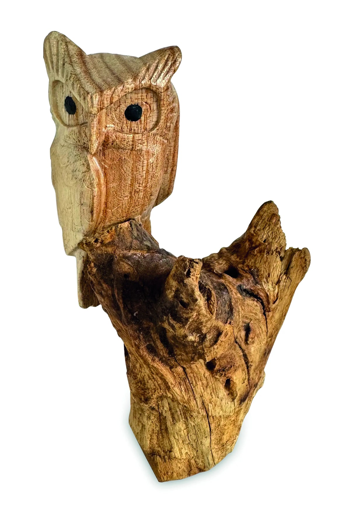 SINGLE TAWNY OWL ON DRIFTWOOD