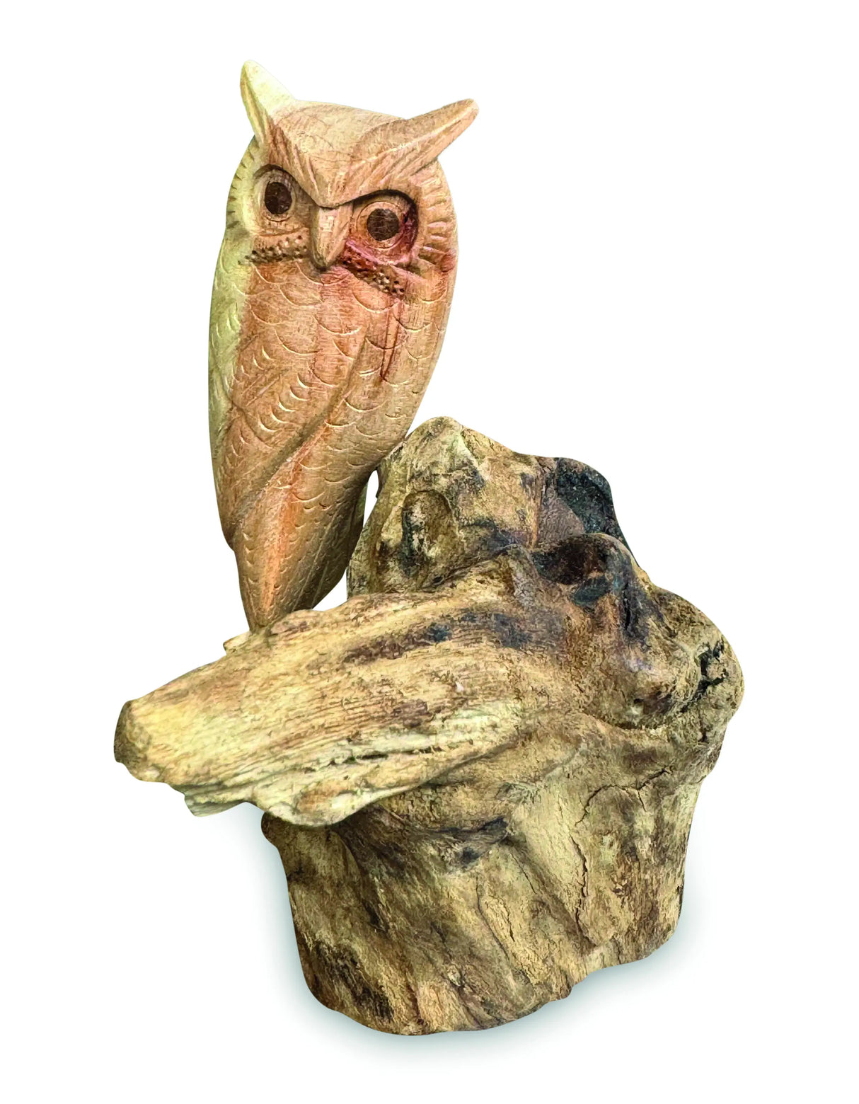 SINGLE TAWNY OWL ON DRIFTWOOD