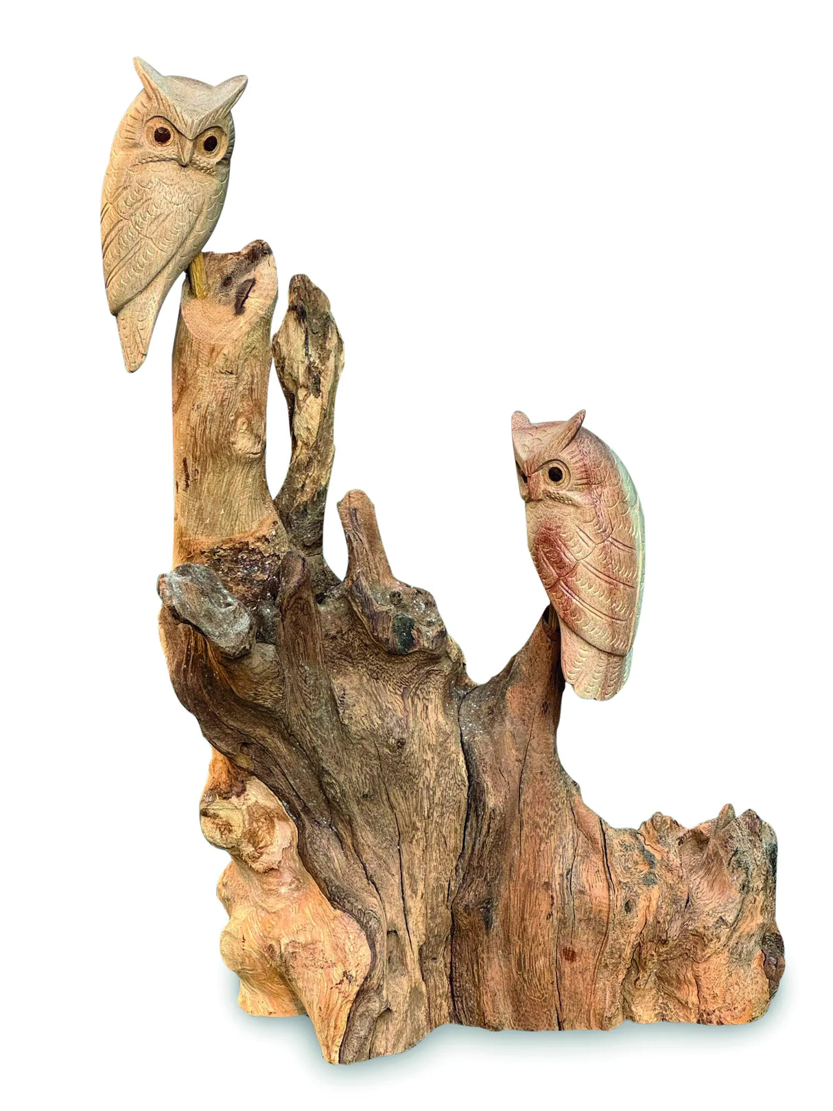DOUBLE TAWNY OWL ON DRIFTWOOD