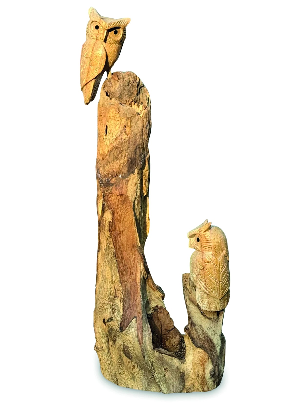 DOUBLE TAWNY OWL ON DRIFTWOOD