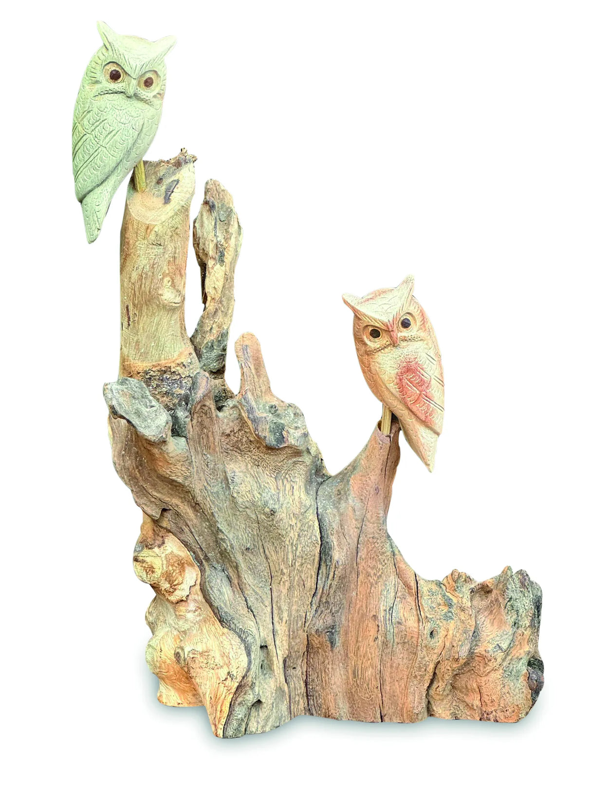 DOUBLE TAWNY OWL ON DRIFTWOOD
