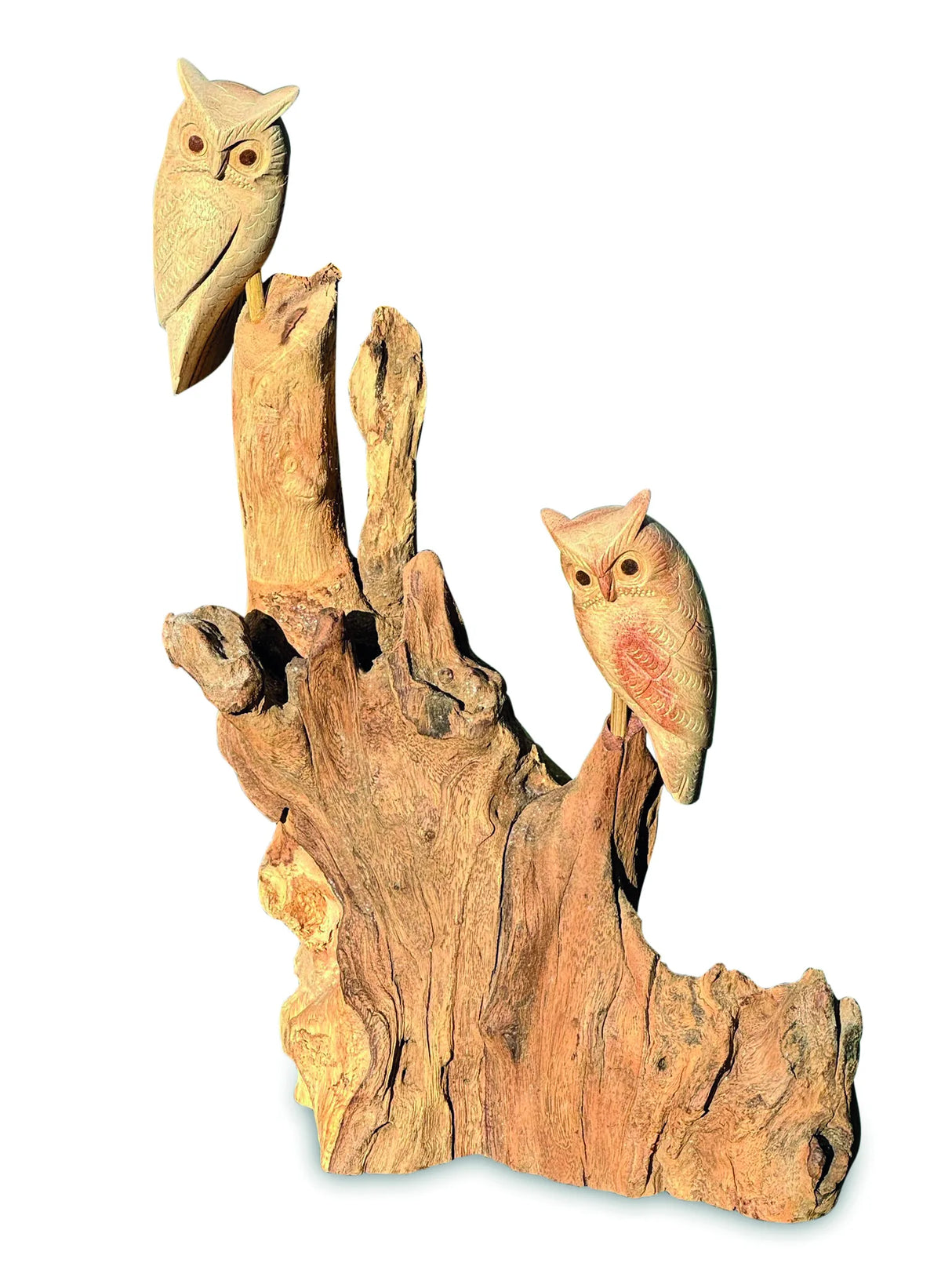 DOUBLE TAWNY OWL ON DRIFTWOOD