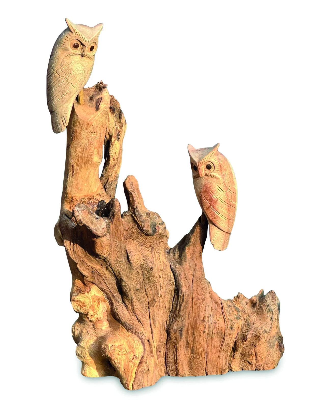 DOUBLE TAWNY OWL ON DRIFTWOOD