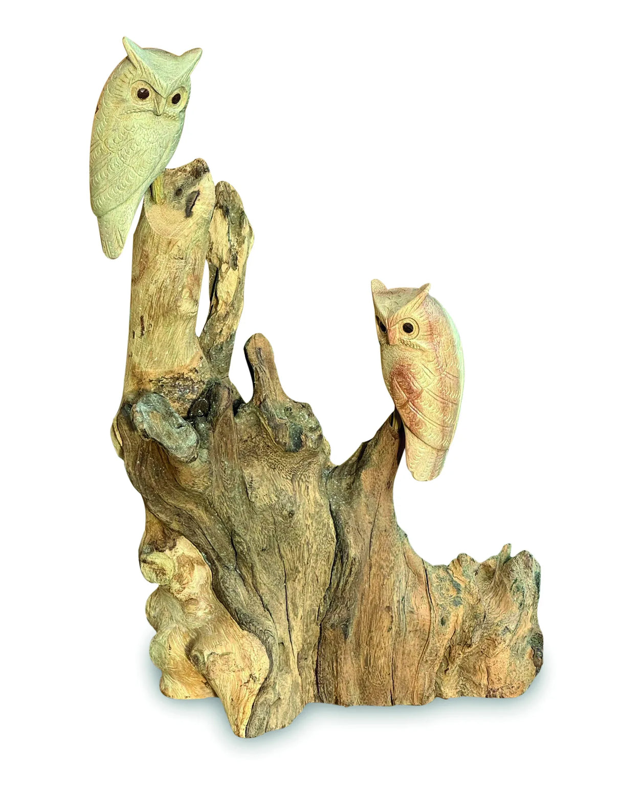 DOUBLE TAWNY OWL ON DRIFTWOOD