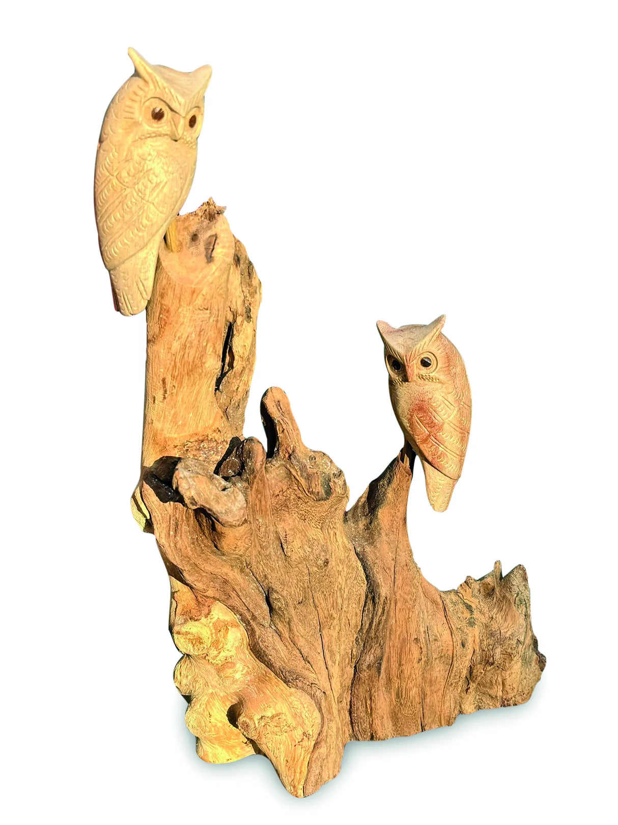DOUBLE TAWNY OWL ON DRIFTWOOD