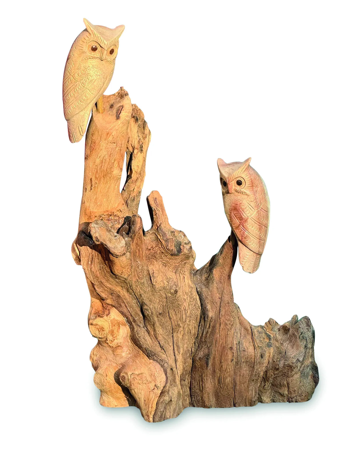 DOUBLE TAWNY OWL ON DRIFTWOOD