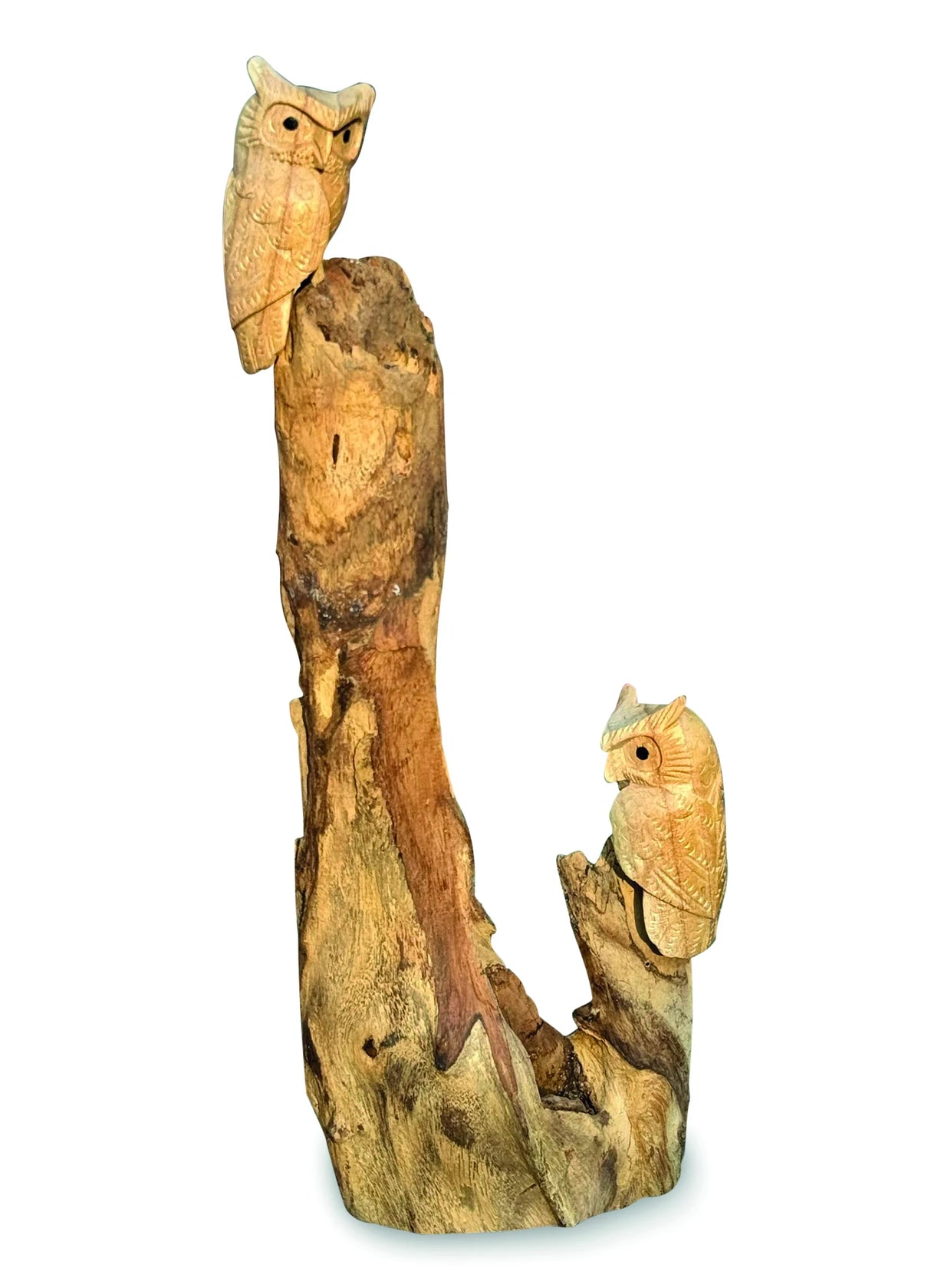 DOUBLE TAWNY OWL ON DRIFTWOOD